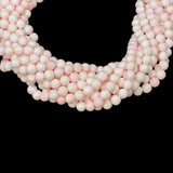 Queen Conch Shell A Grade Round 8mm
